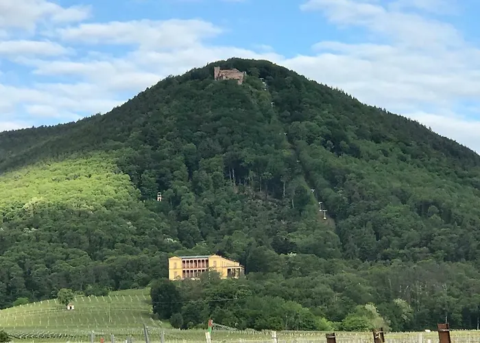 Barocker Hof Rhodt Daire